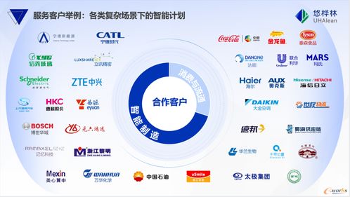 悠樺林位列國內供應商第一，《2025中國智能供應鏈計劃與排程市場份額報告》正式發布——中豹供應鏈洞察行業新趨勢